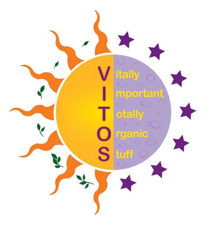VITOs logo with sun and purple moon design